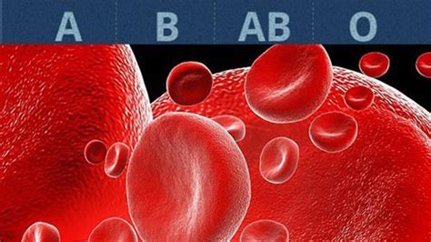K­a­n­ ­g­r­u­p­l­a­r­ı­ ­v­e­ ­k­i­ş­i­l­i­k­ ­ö­z­e­l­l­i­k­l­e­r­i­ ­-­ ­Y­a­ş­a­m­ ­H­a­b­e­r­l­e­r­i­